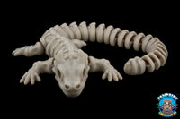 Escuadrón Skelly
