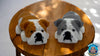 Flexi Dog Fidgets