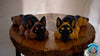 Flexi Dog Fidgets