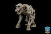 Skelly Squad