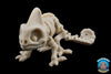 Skelly Squad