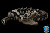 Reptiles