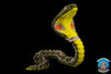 Reptiles