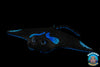 Aquatic Animals