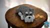 Flexi Dog Fidgets